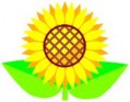 夏