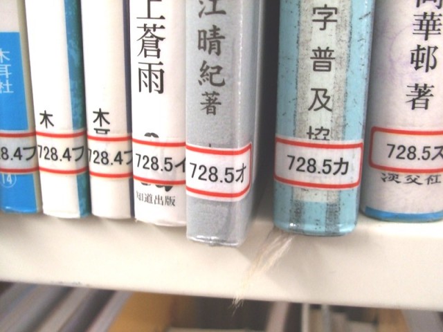 DSCF7446