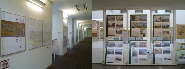 展示の様子